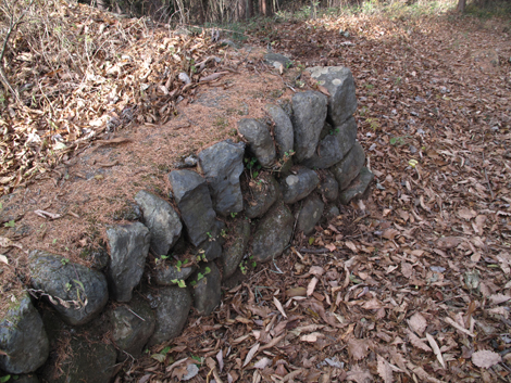 20171116hike (251)